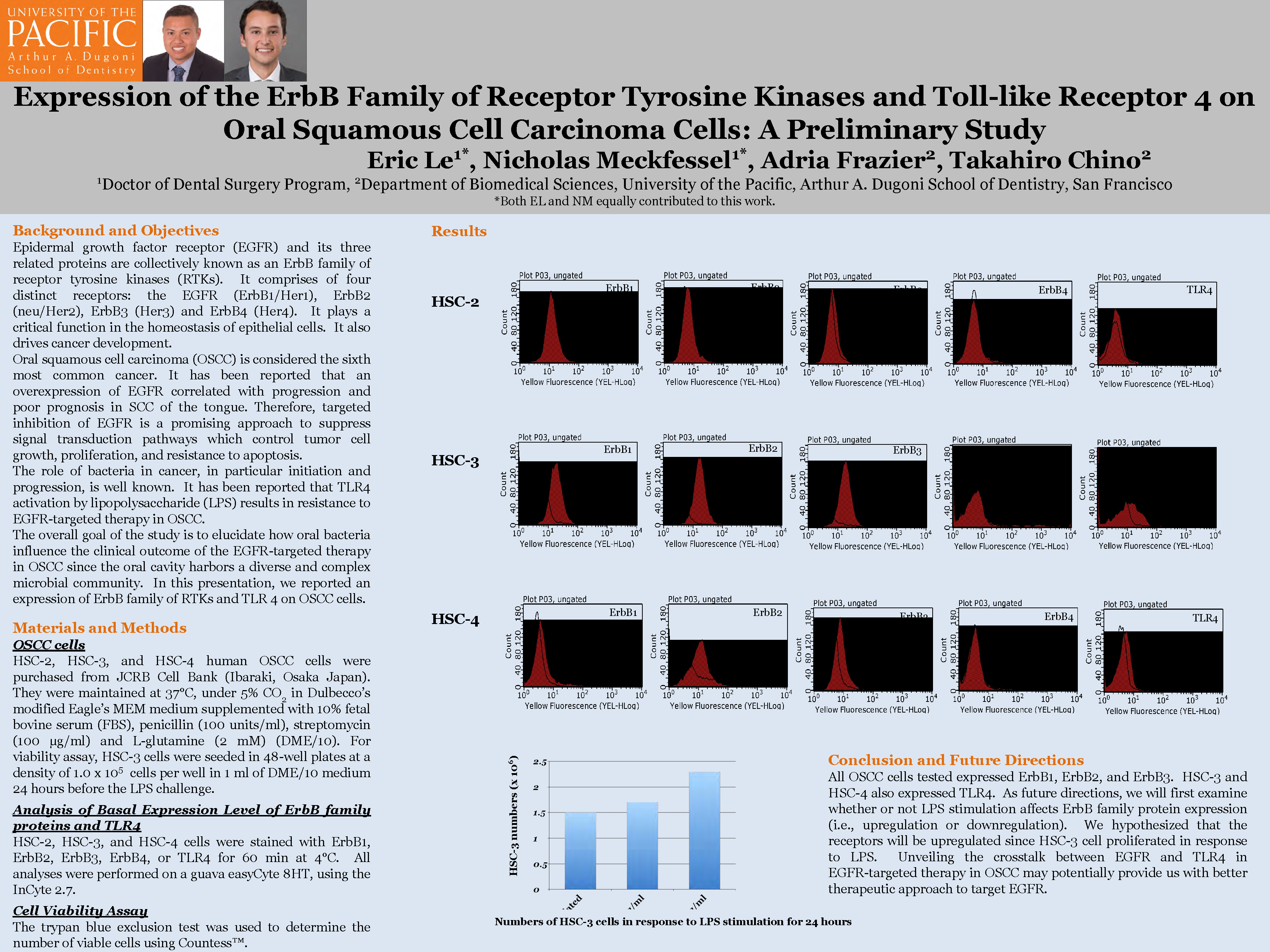 Expression of the ErbB Family of Receptor Tyrosine Kinases and Toll-like Receptor 4 on Oral Squamous Cell Carcinoma Cells: A Preliminary Study