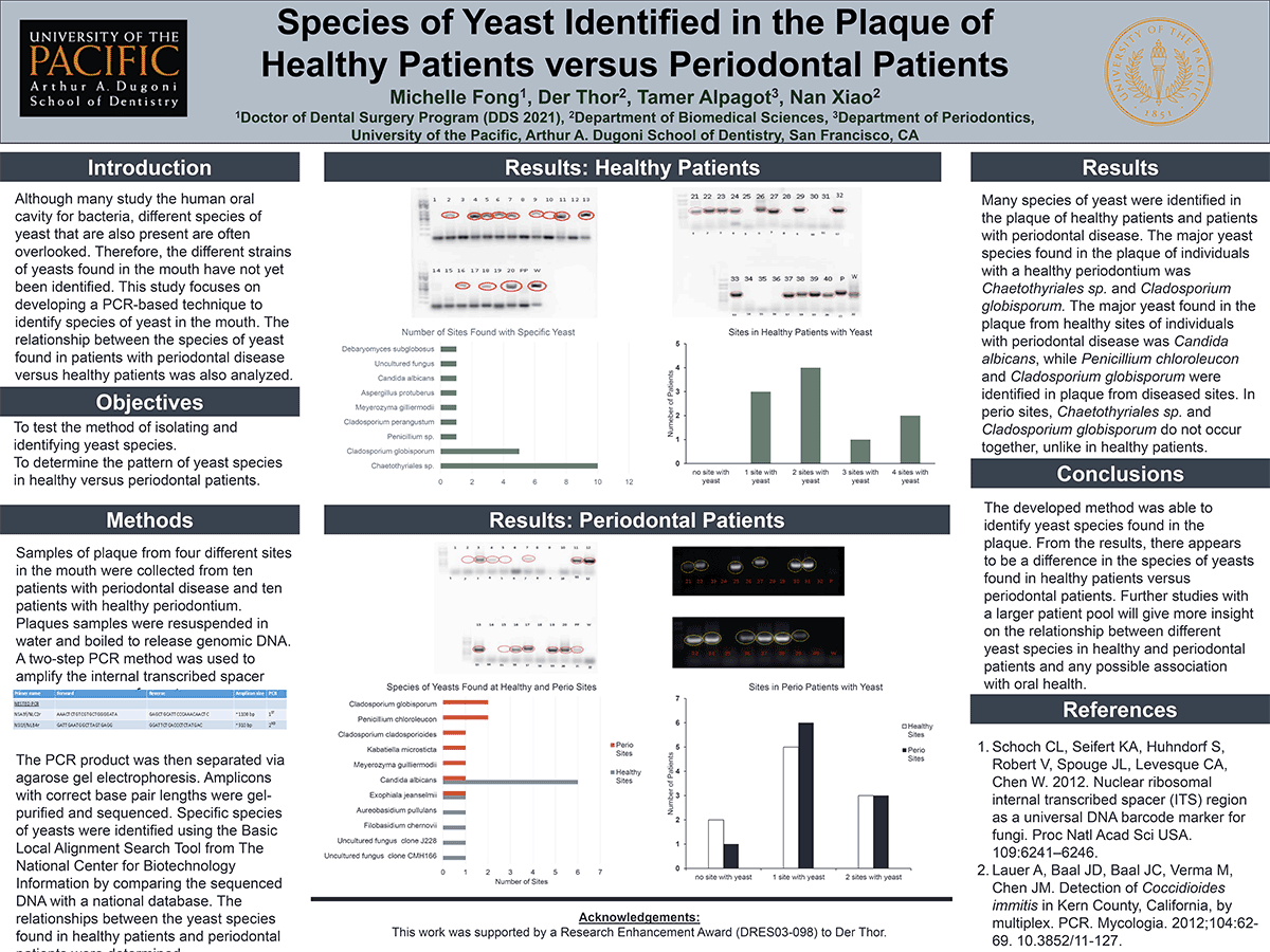 Species of Yeast Identified in the Plaque of  Healthy Patients versus Periodontal Patients