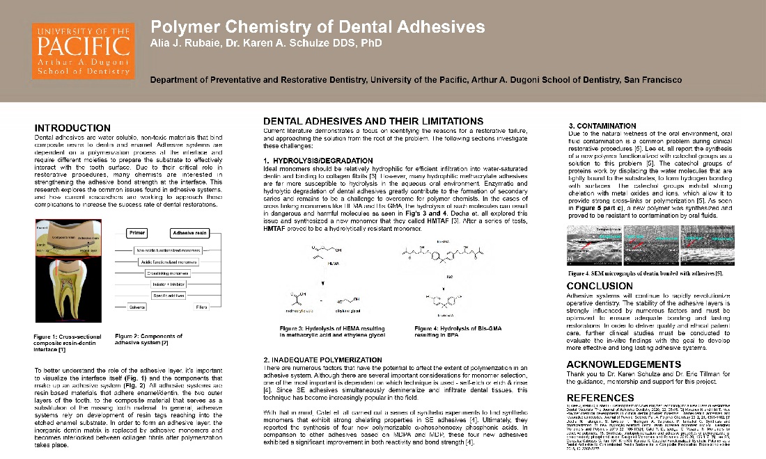 Polymer Chemistry of Dental Adhesives
