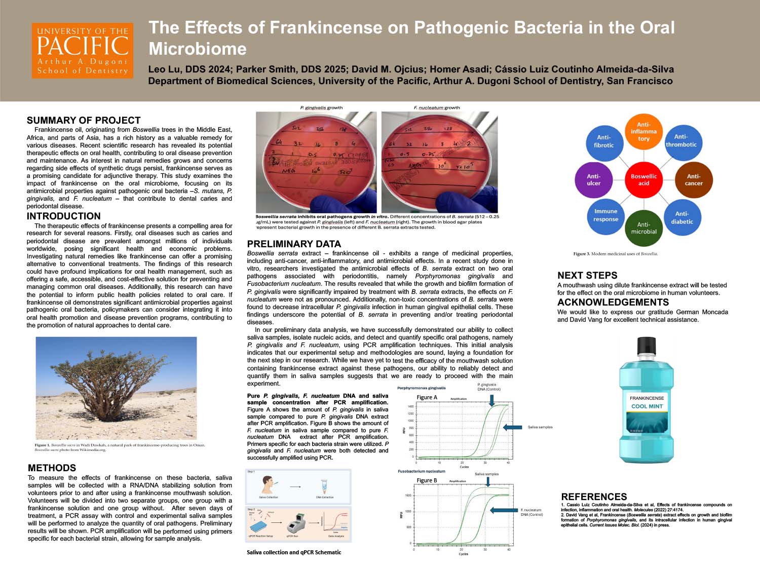 The Effects of Frankincense on Pathogenic Bacteria in the Oral Microbiome