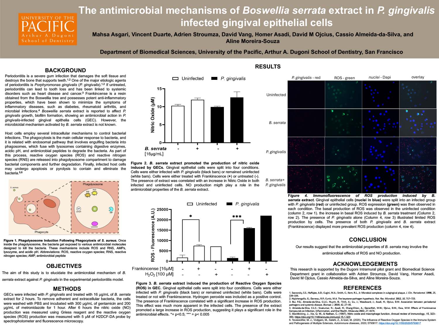 The Antimicrobial Mechanisms of Boswellia serrata extract in P. gingivalis infected gingival epithelial cells